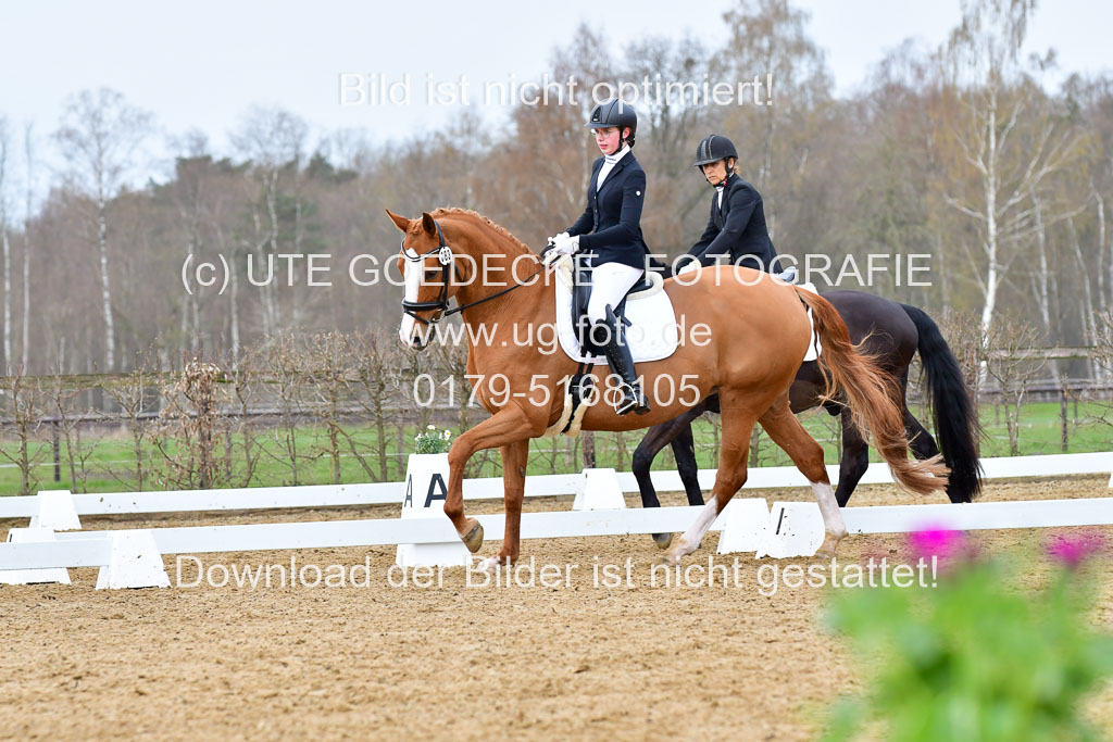 Reitsportzentrum Bremervörde | 170421 Dressurreiter L_114