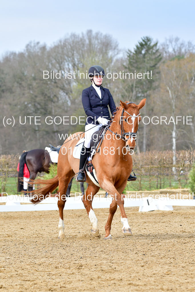 Reitsportzentrum Bremervörde | 170421 Dressurreiter L_129