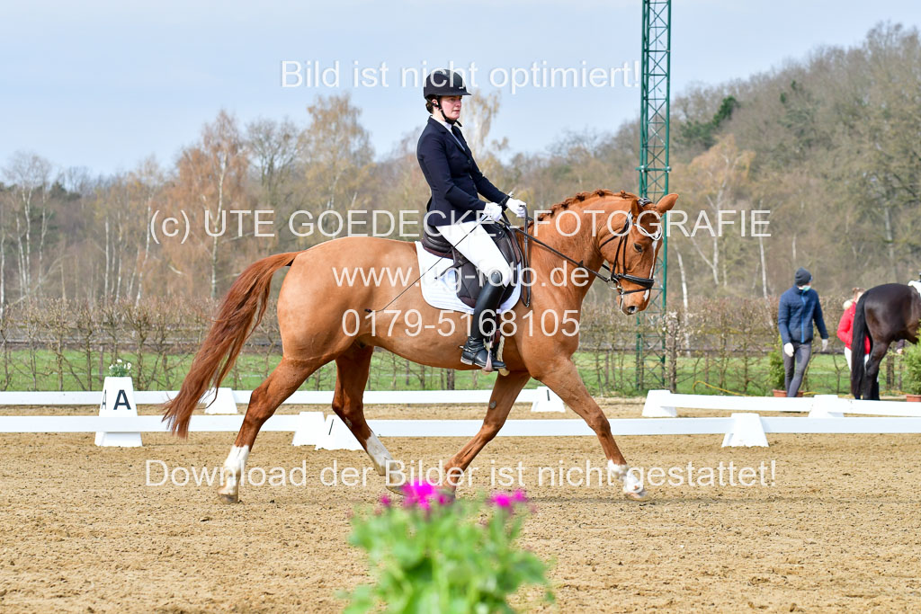 Reitsportzentrum Bremervörde | 170421 Dressurreiter L_133