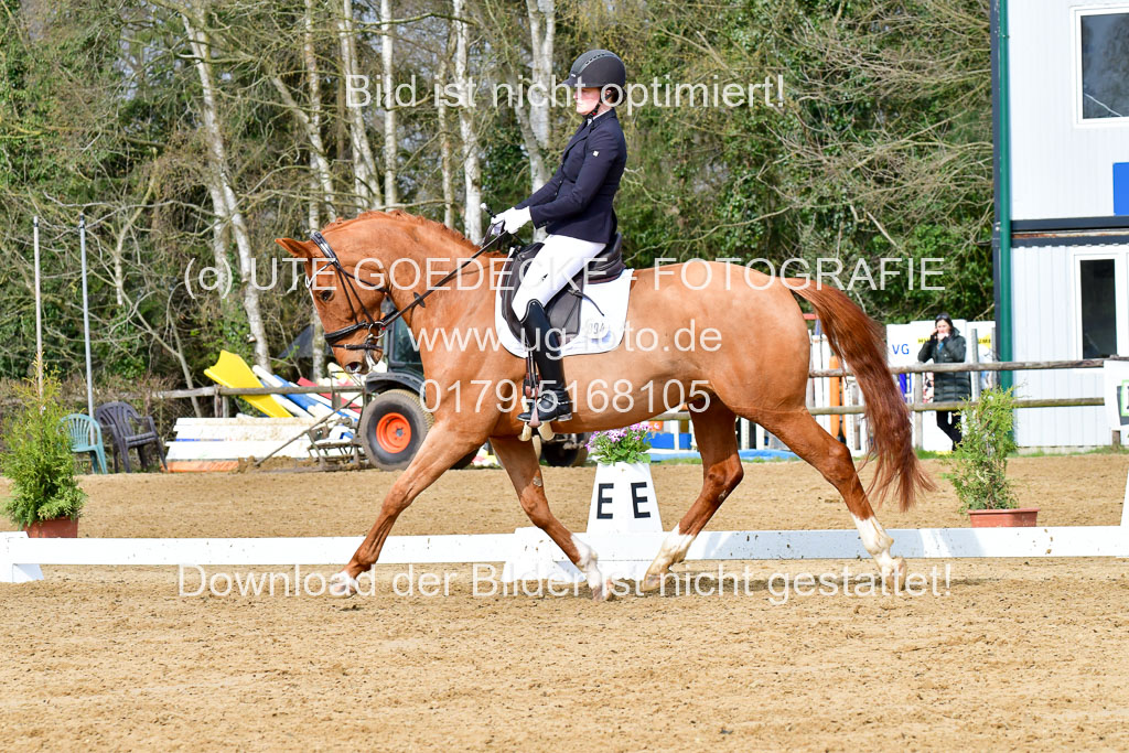 Reitsportzentrum Bremervörde | 170421 Dressurreiter L_134