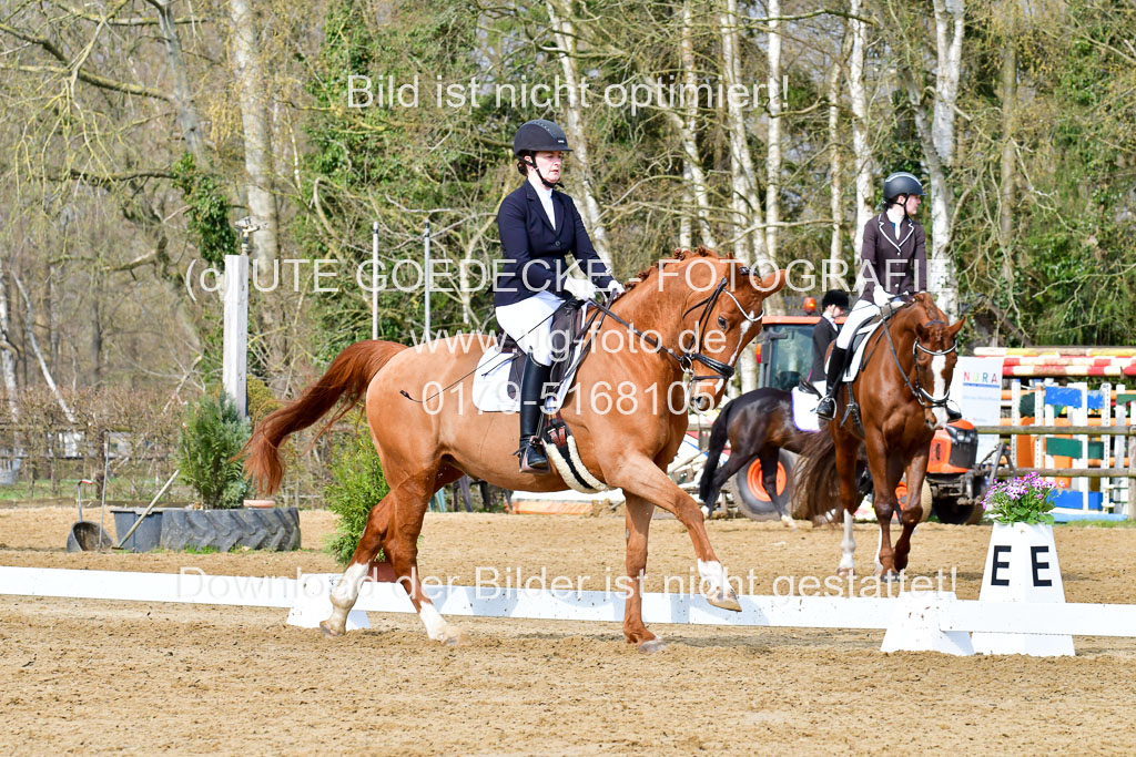 Reitsportzentrum Bremervörde | 170421 Dressurreiter L_137