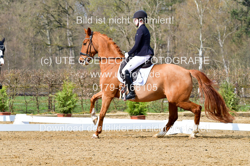 Reitsportzentrum Bremervörde | 170421 Dressurreiter L_145