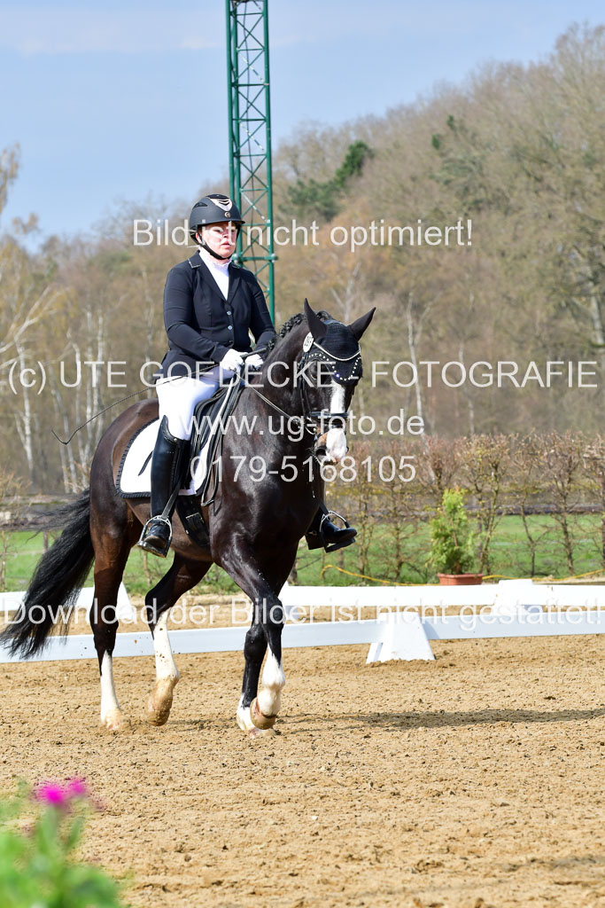 Reitsportzentrum Bremervörde | 170421 Dressurreiter L_147