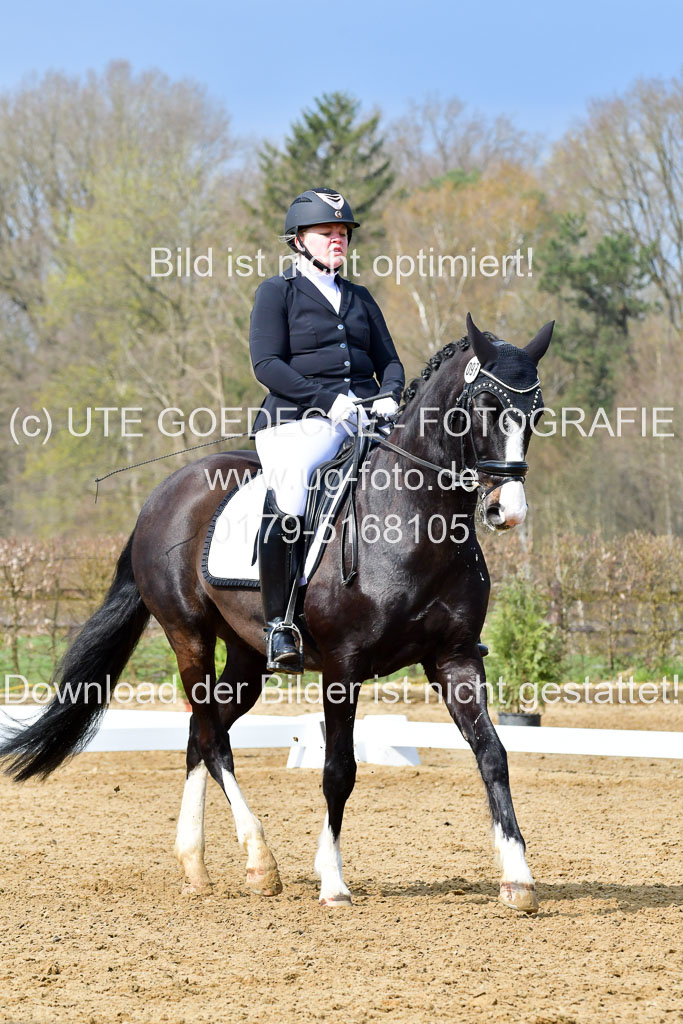 Reitsportzentrum Bremervörde | 170421 Dressurreiter L_149