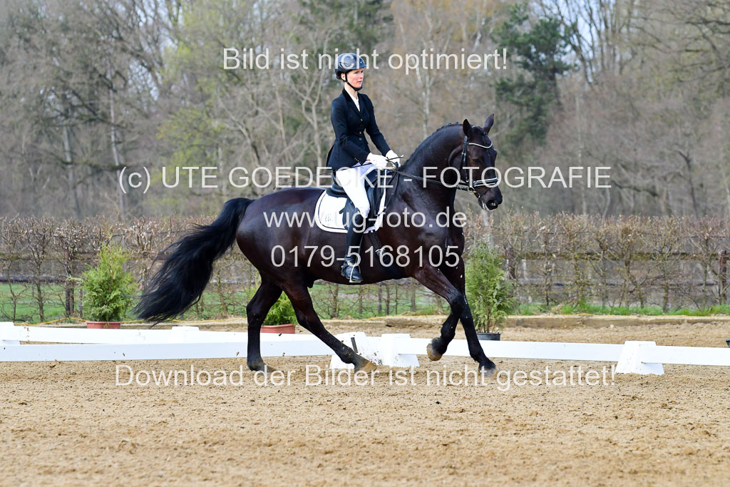 Reitsportzentrum Bremervörde | 170421 Dressurreiter L_169