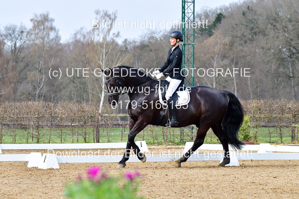 Reitsportzentrum Bremervörde | 170421 Dressurreiter L_172