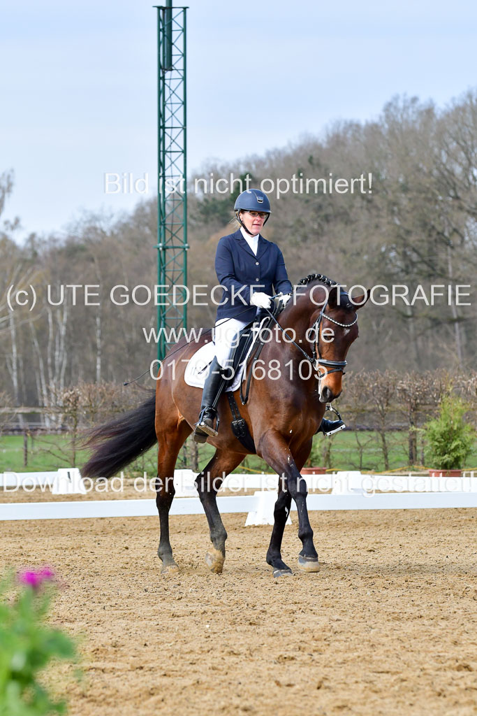 Reitsportzentrum Bremervörde | 170421 Dressurreiter L_182