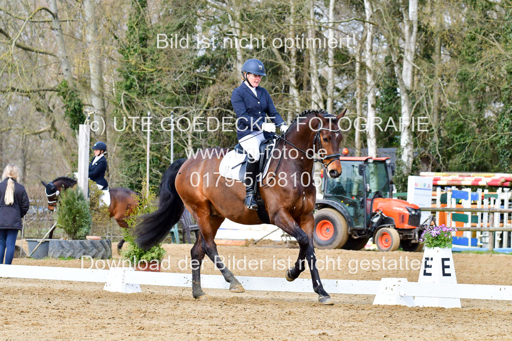 Reitsportzentrum Bremervörde | 170421 Dressurreiter L_187