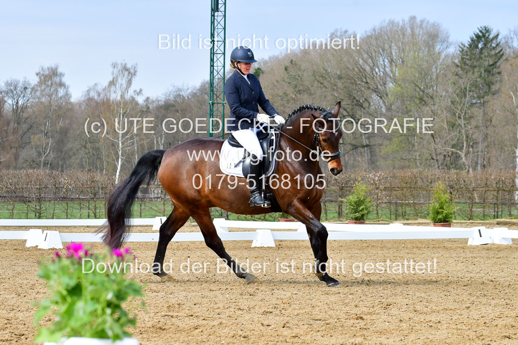 Reitsportzentrum Bremervörde | 170421 Dressurreiter L_189