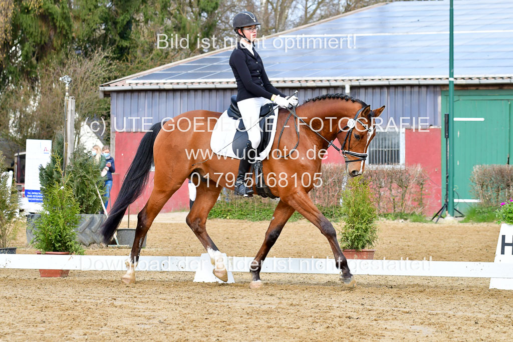 Reitsportzentrum Bremervörde | 170421 Dressurreiter L_194