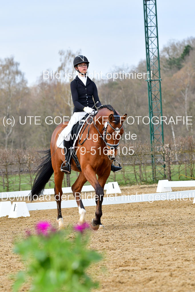 Reitsportzentrum Bremervörde | 170421 Dressurreiter L_196