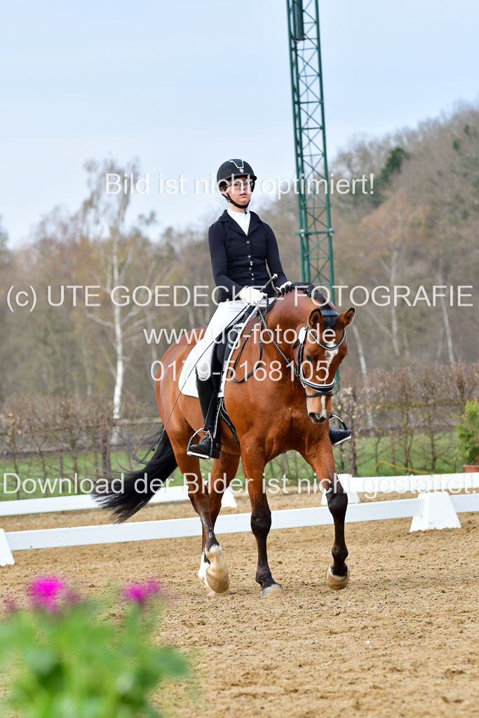 Reitsportzentrum Bremervörde | 170421 Dressurreiter L_197 