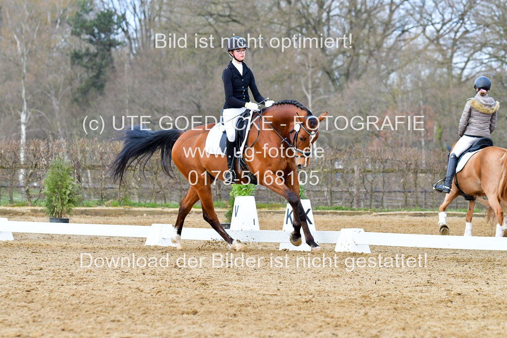 Reitsportzentrum Bremervörde | 170421 Dressurreiter L_200