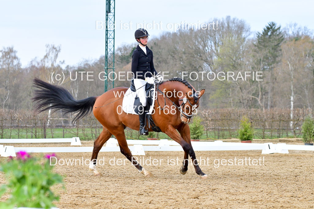 Reitsportzentrum Bremervörde | 170421 Dressurreiter L_203