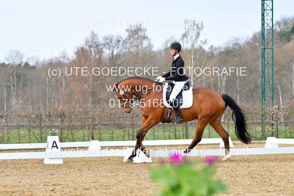 Reitsportzentrum Bremervörde | 170421 Dressurreiter L_205