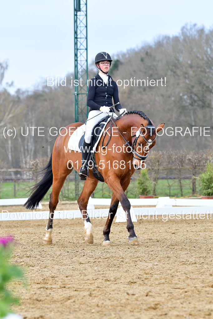 Reitsportzentrum Bremervörde | 170421 Dressurreiter L_206