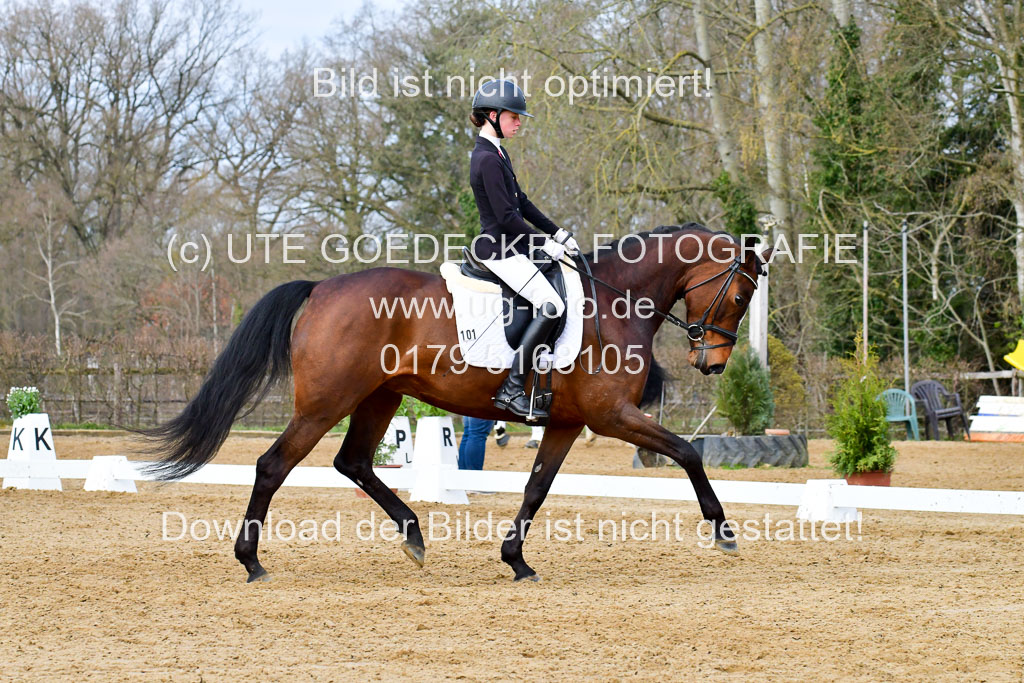 Reitsportzentrum Bremervörde | 170421 Dressurreiter L_223