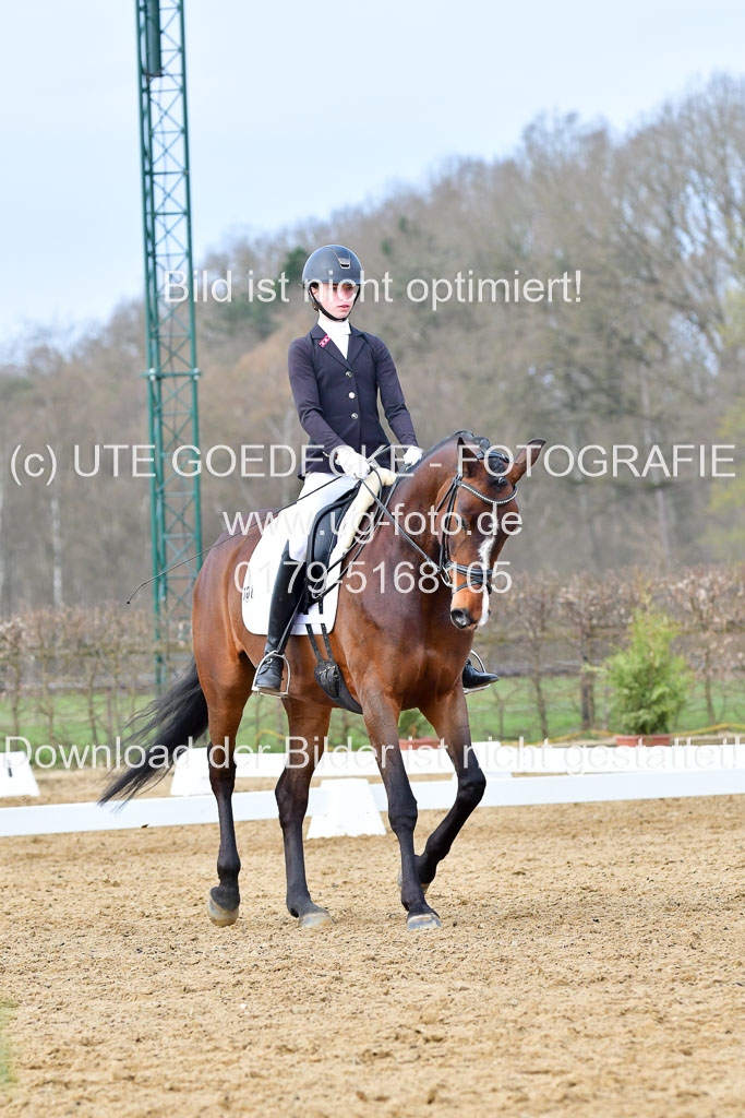 Reitsportzentrum Bremervörde | 170421 Dressurreiter L_224
