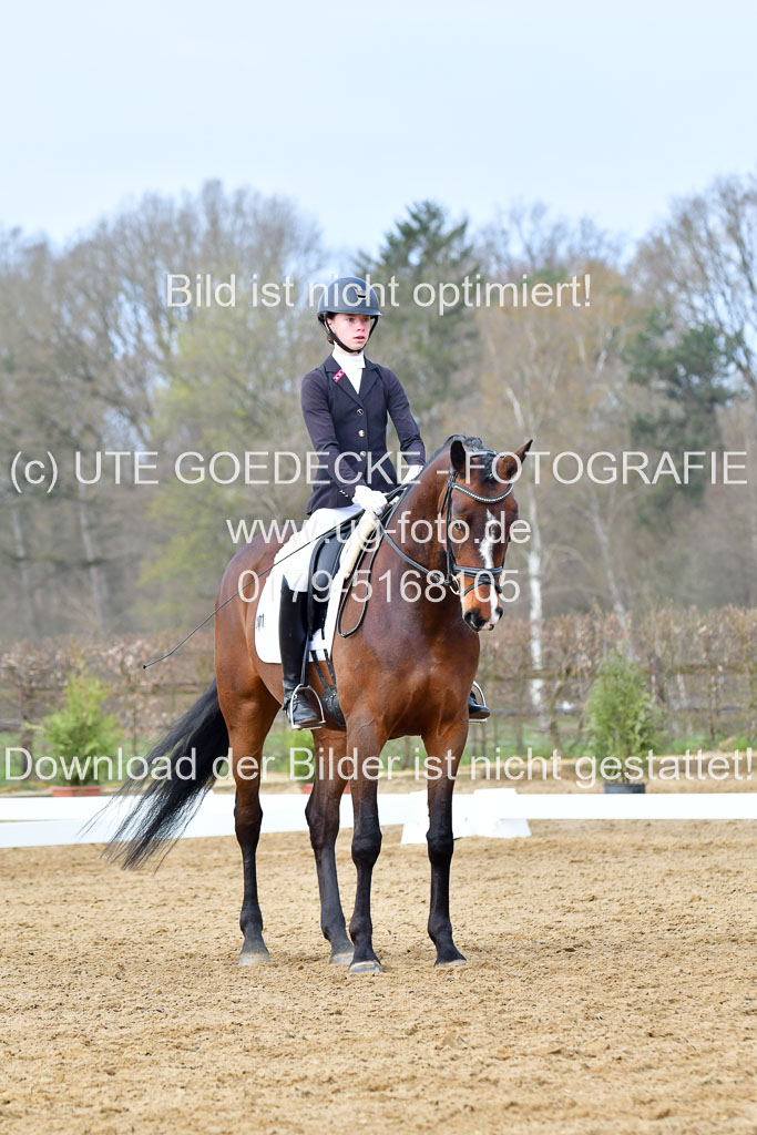 Reitsportzentrum Bremervörde | 170421 Dressurreiter L_226