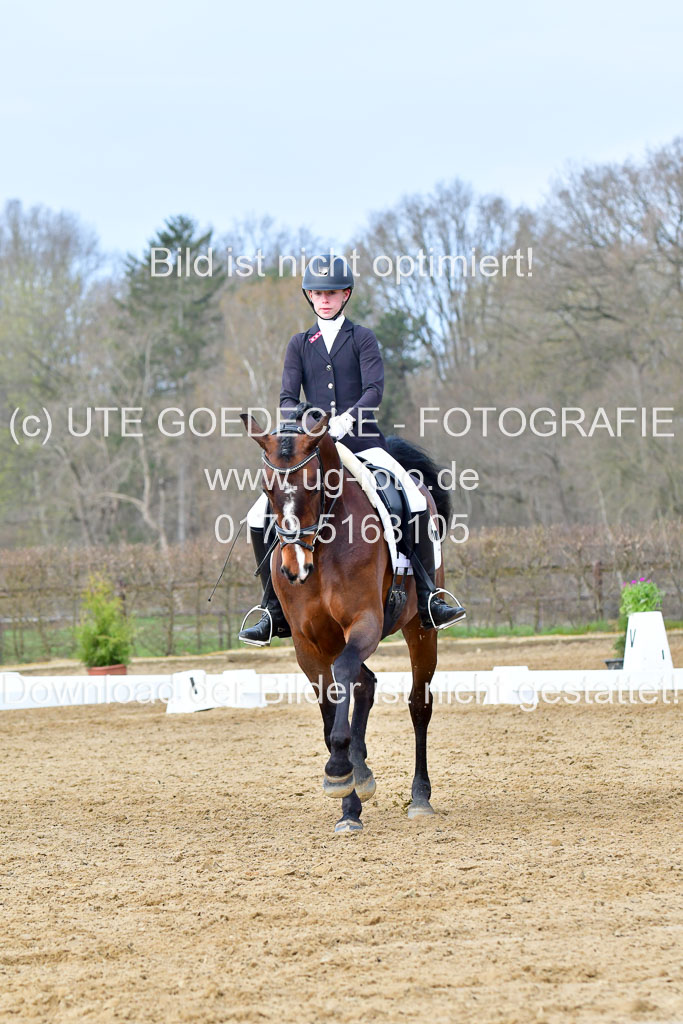 Reitsportzentrum Bremervörde | 170421 Dressurreiter L_229