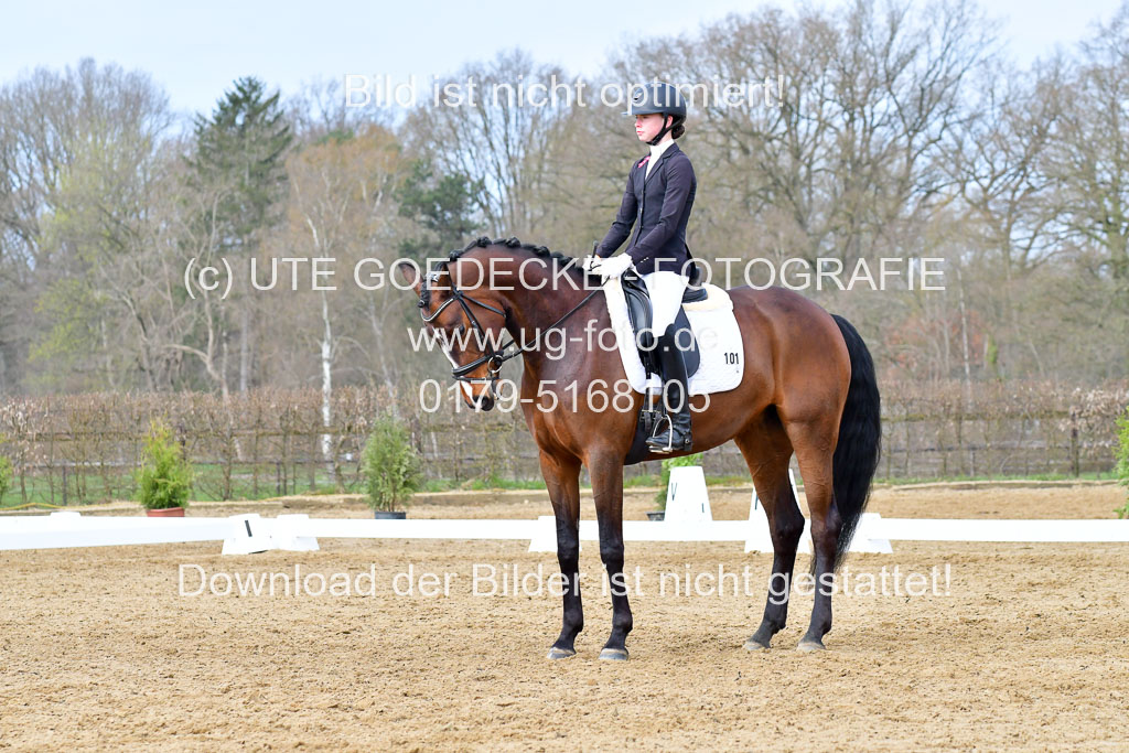 Reitsportzentrum Bremervörde | 170421 Dressurreiter L_230
