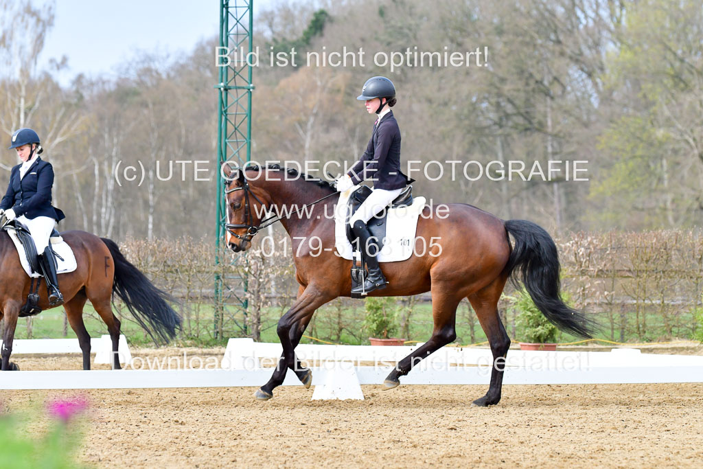 Reitsportzentrum Bremervörde | 170421 Dressurreiter L_234