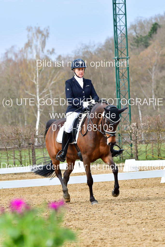 Reitsportzentrum Bremervörde | 170421 Dressurreiter L_238
