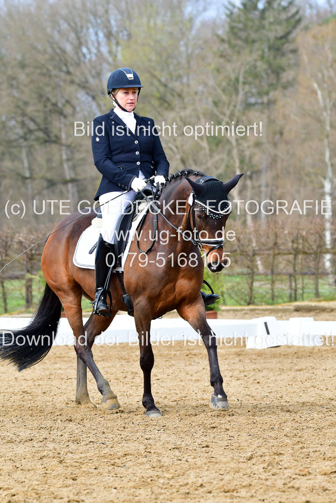 Reitsportzentrum Bremervörde | 170421 Dressurreiter L_239
