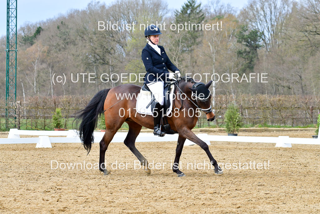 Reitsportzentrum Bremervörde | 170421 Dressurreiter L_240