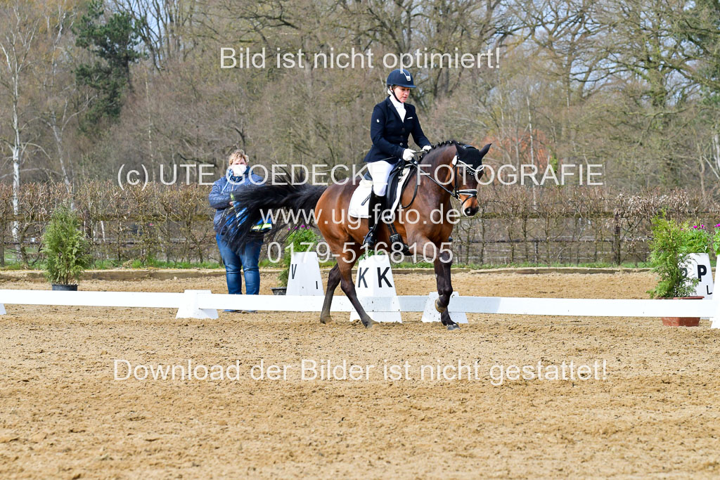 Reitsportzentrum Bremervörde | 170421 Dressurreiter L_243
