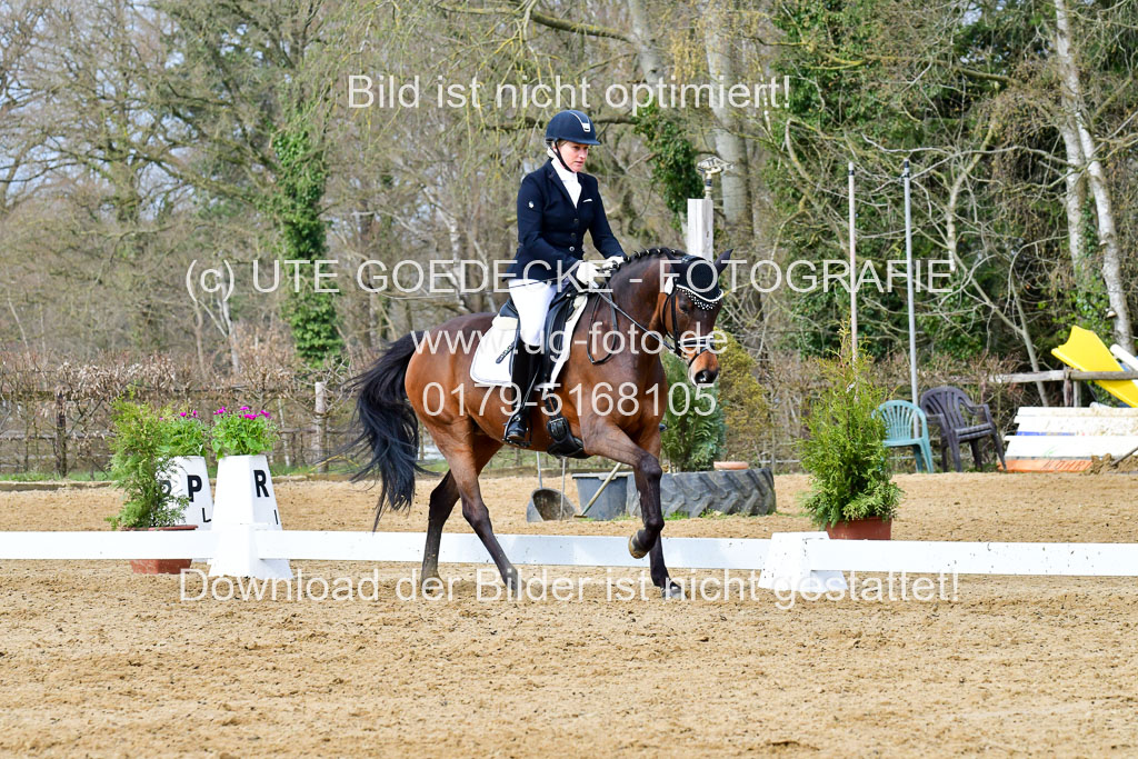 Reitsportzentrum Bremervörde | 170421 Dressurreiter L_246