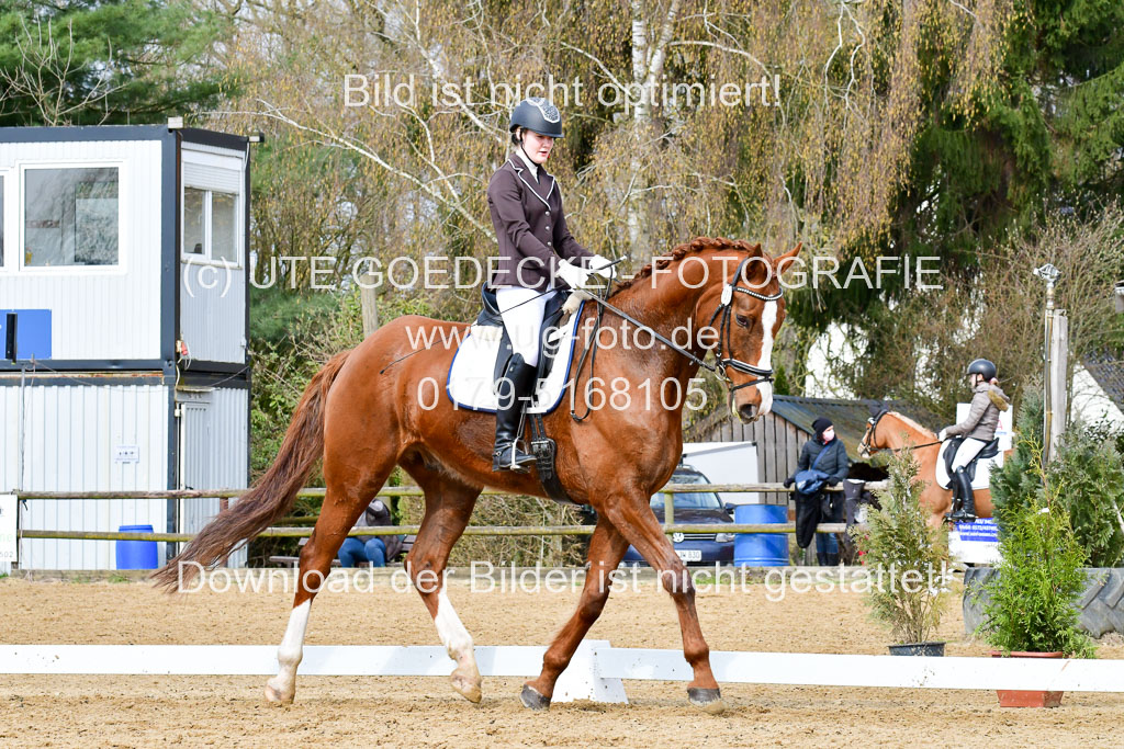 Reitsportzentrum Bremervörde | 170421 Dressurreiter L_259
