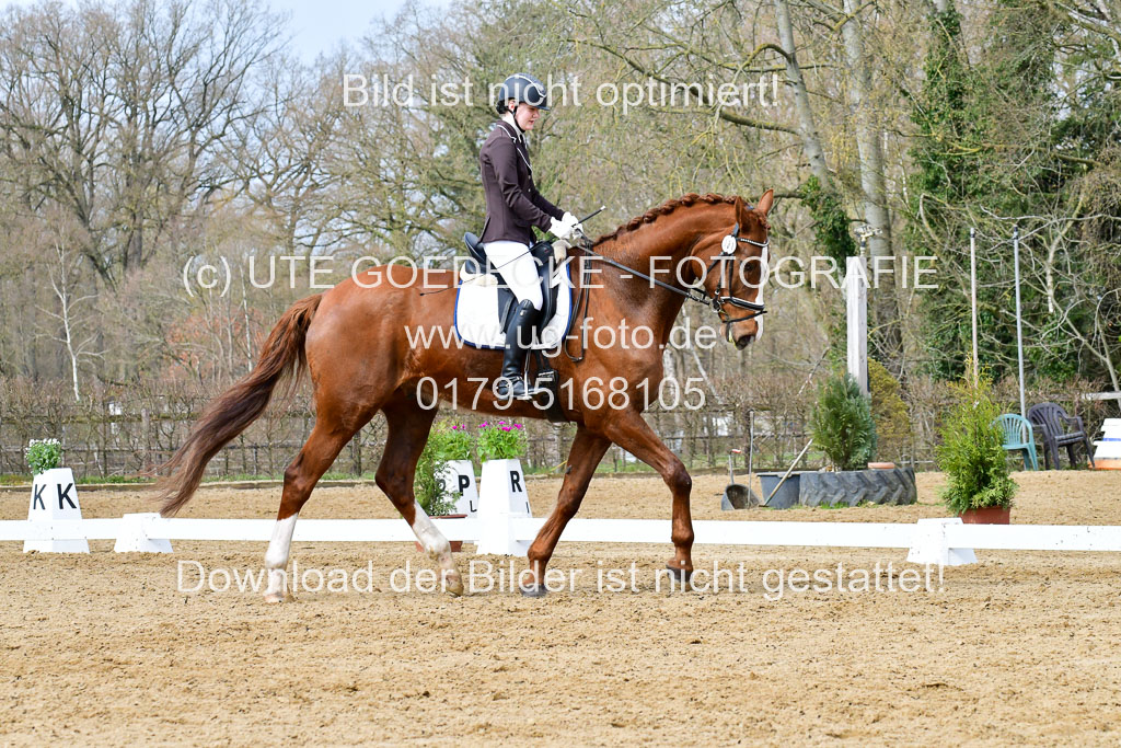 Reitsportzentrum Bremervörde | 170421 Dressurreiter L_260