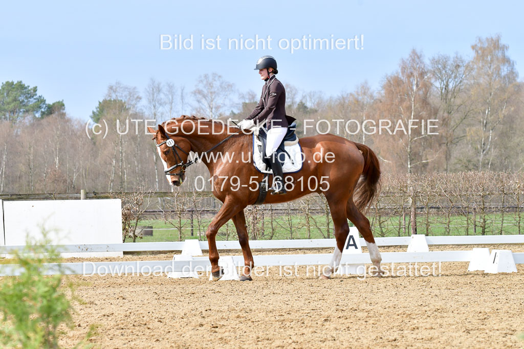 Reitsportzentrum Bremervörde | 170421 Dressurreiter L_270