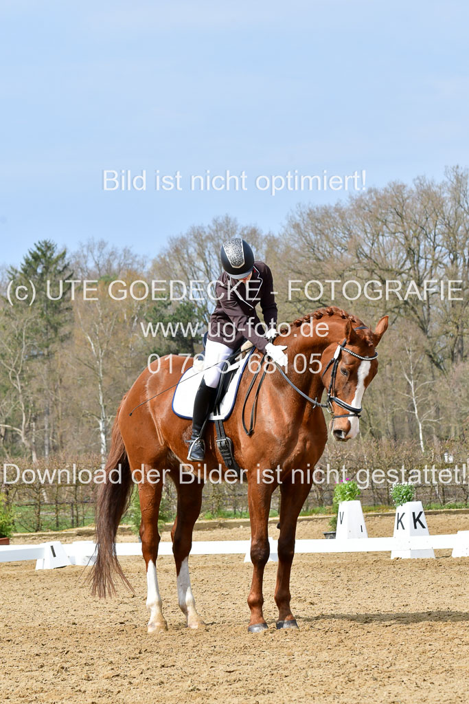 Reitsportzentrum Bremervörde | 170421 Dressurreiter L_272