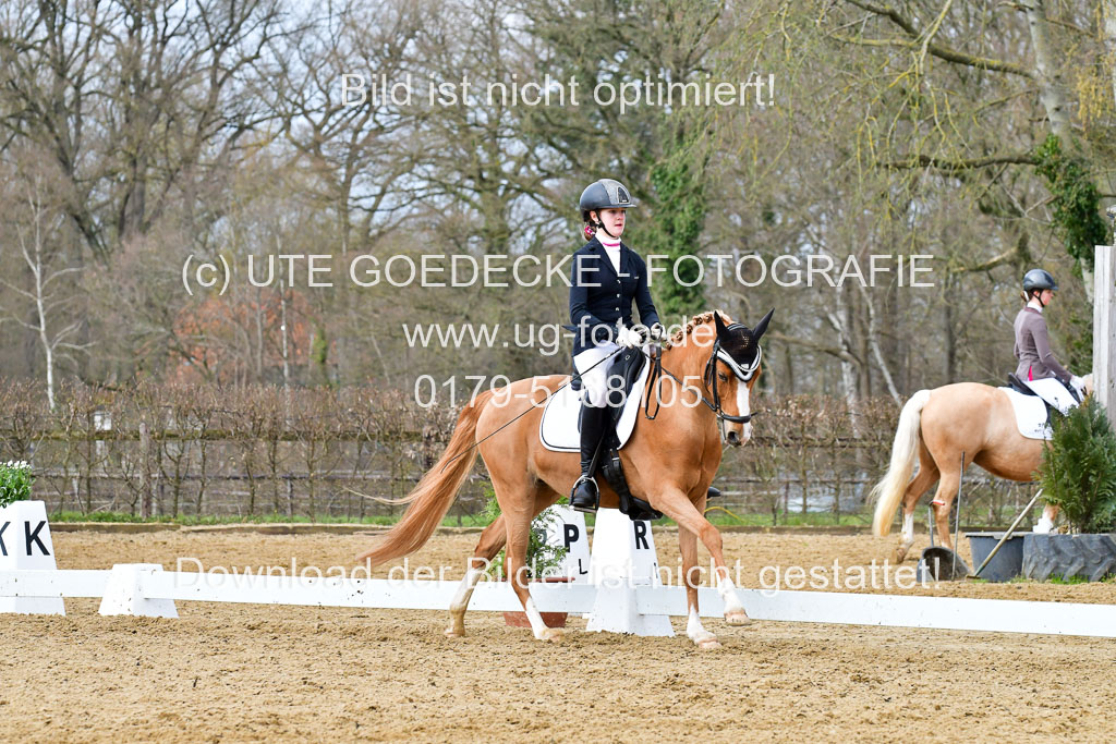 Reitsportzentrum Bremervörde | 170421 Dressurreiter L_275