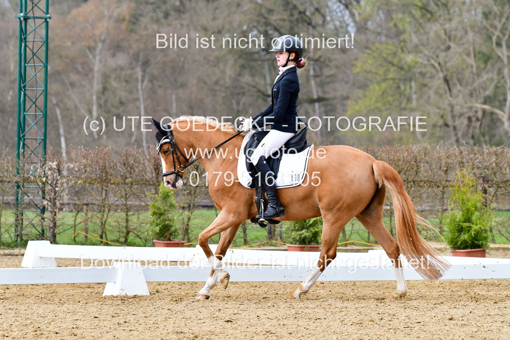 Reitsportzentrum Bremervörde | 170421 Dressurreiter L_277
