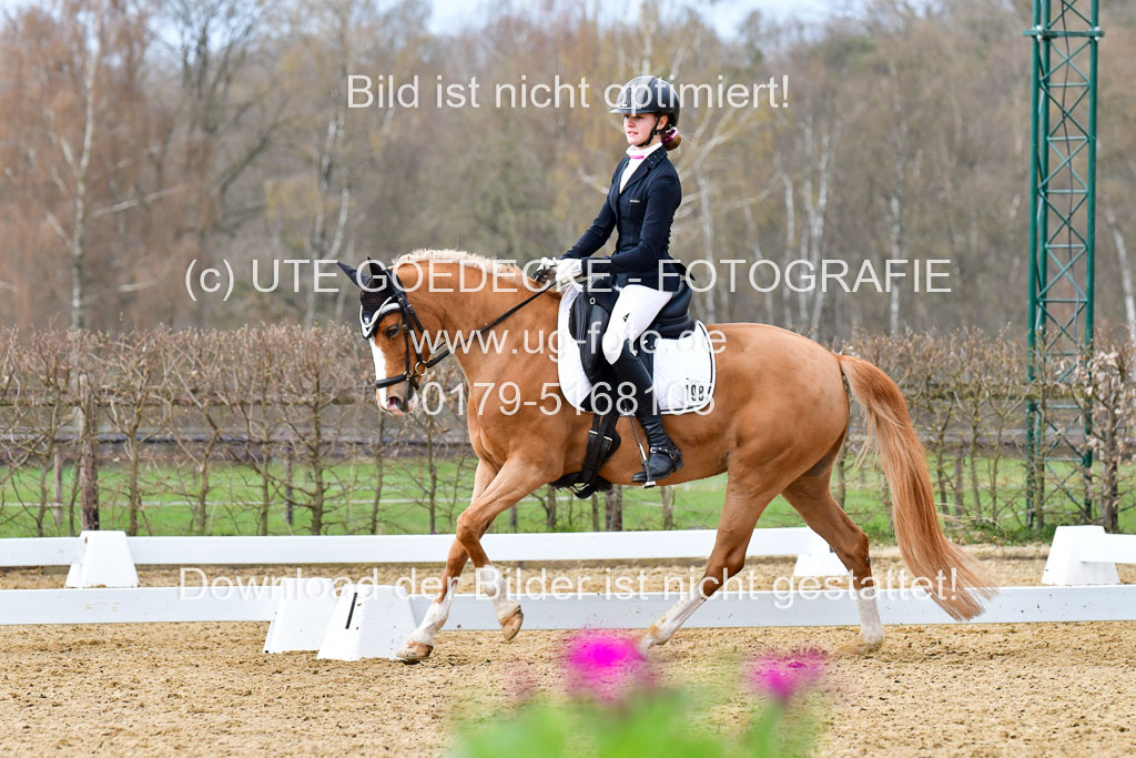 Reitsportzentrum Bremervörde | 170421 Dressurreiter L_278