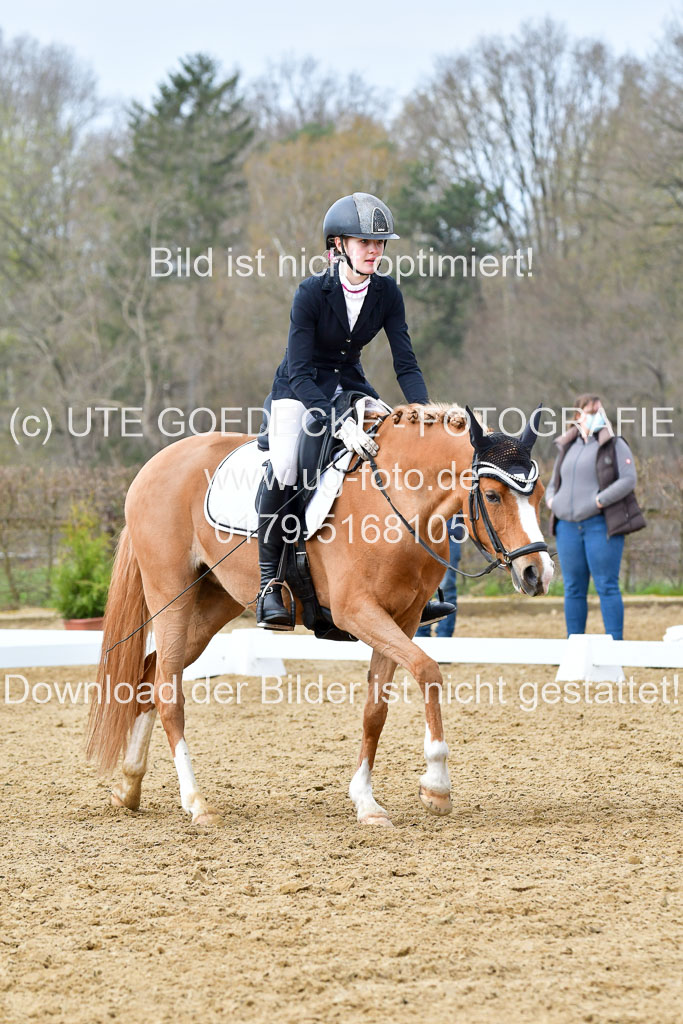 Reitsportzentrum Bremervörde | 170421 Dressurreiter L_284
