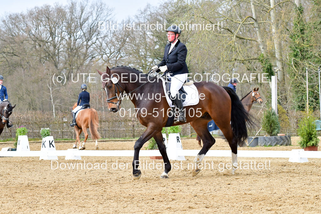 Reitsportzentrum Bremervörde | 170421 Dressurreiter L_289
