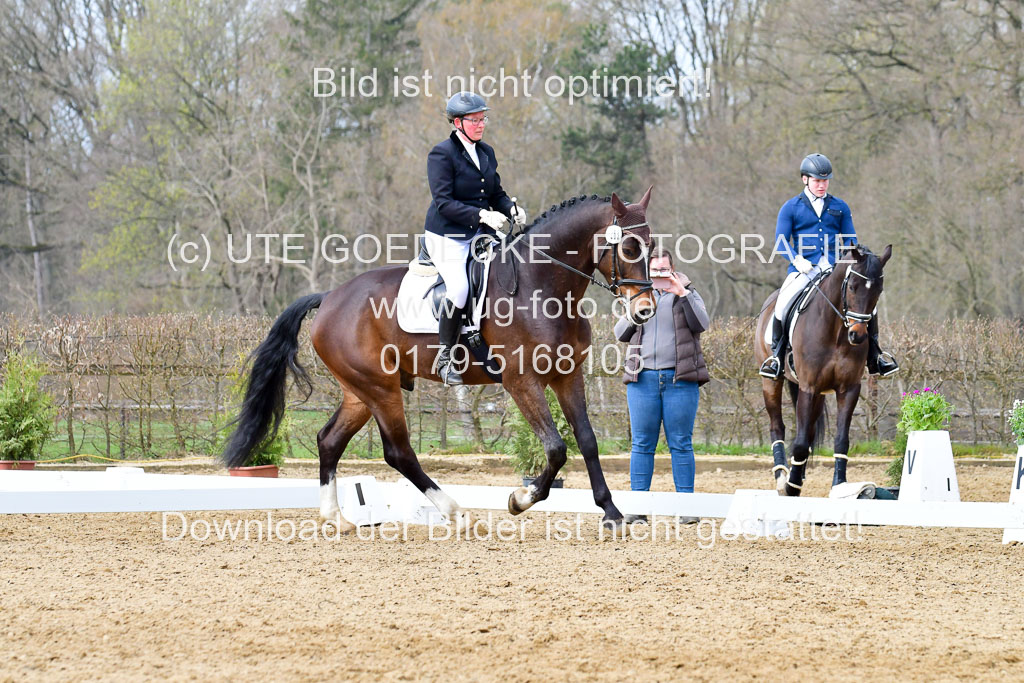Reitsportzentrum Bremervörde | 170421 Dressurreiter L_291