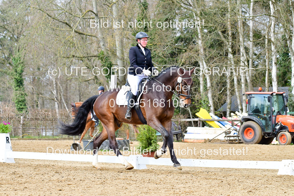 Reitsportzentrum Bremervörde | 170421 Dressurreiter L_293
