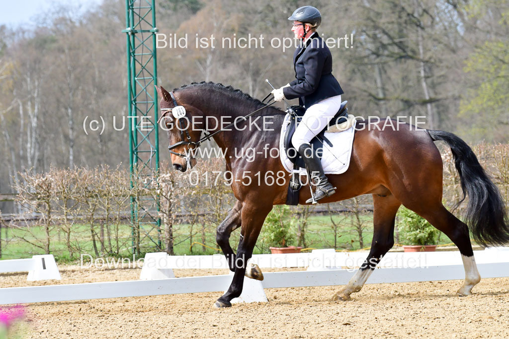 Reitsportzentrum Bremervörde | 170421 Dressurreiter L_298