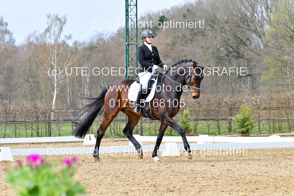 Reitsportzentrum Bremervörde | 170421 Dressurreiter L_299