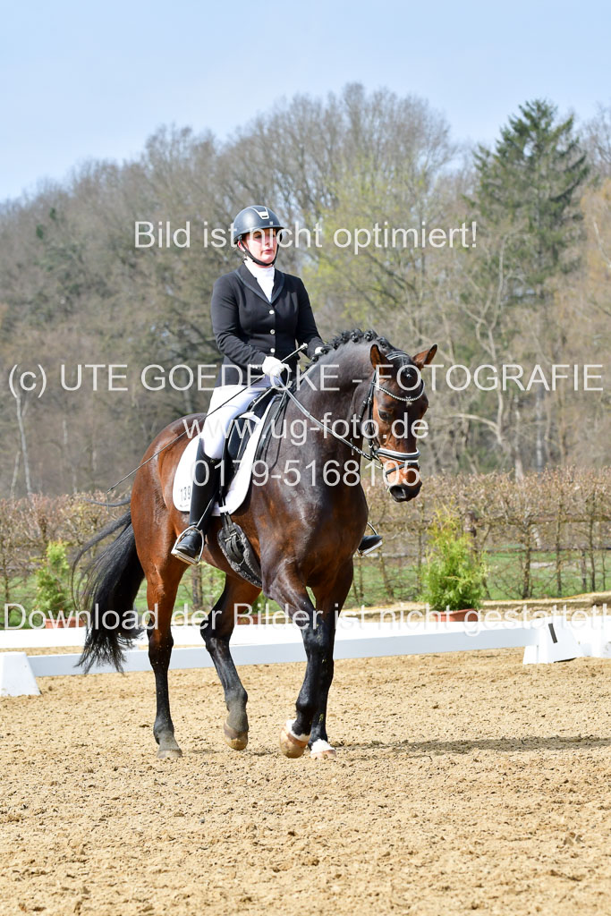 Reitsportzentrum Bremervörde | 170421 Dressurreiter L_303
