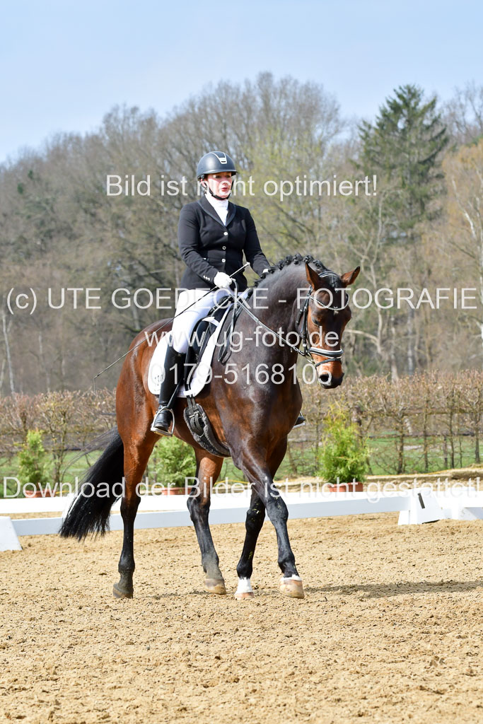 Reitsportzentrum Bremervörde | 170421 Dressurreiter L_304