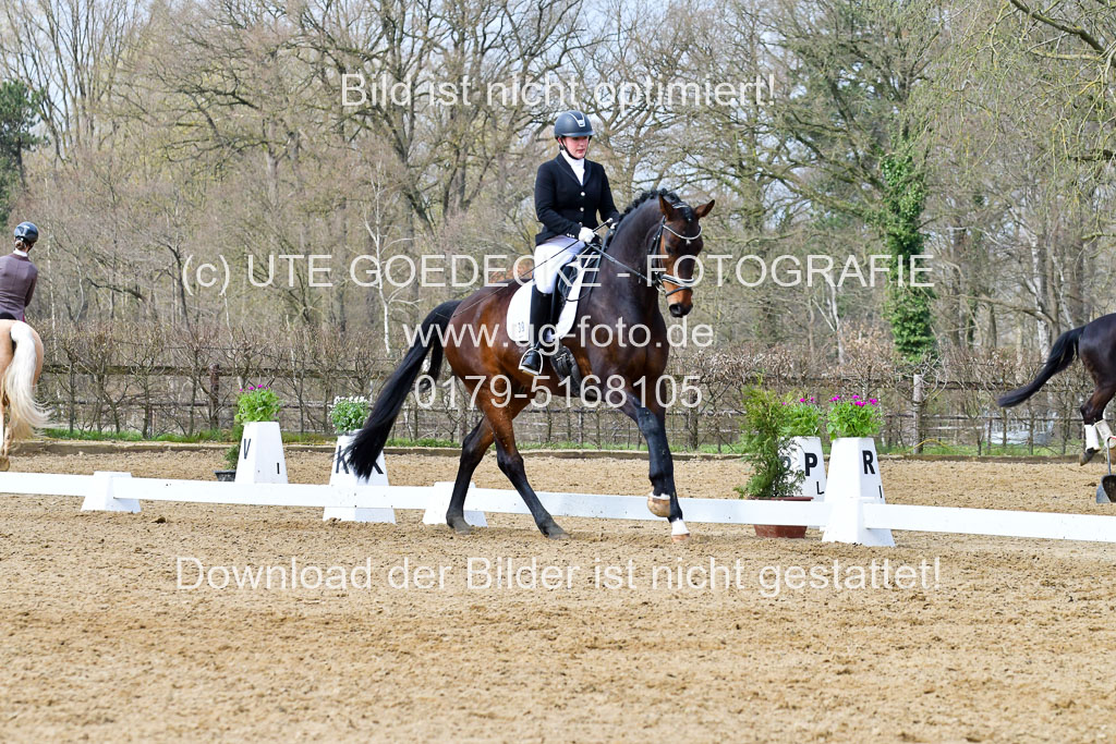 Reitsportzentrum Bremervörde | 170421 Dressurreiter L_309