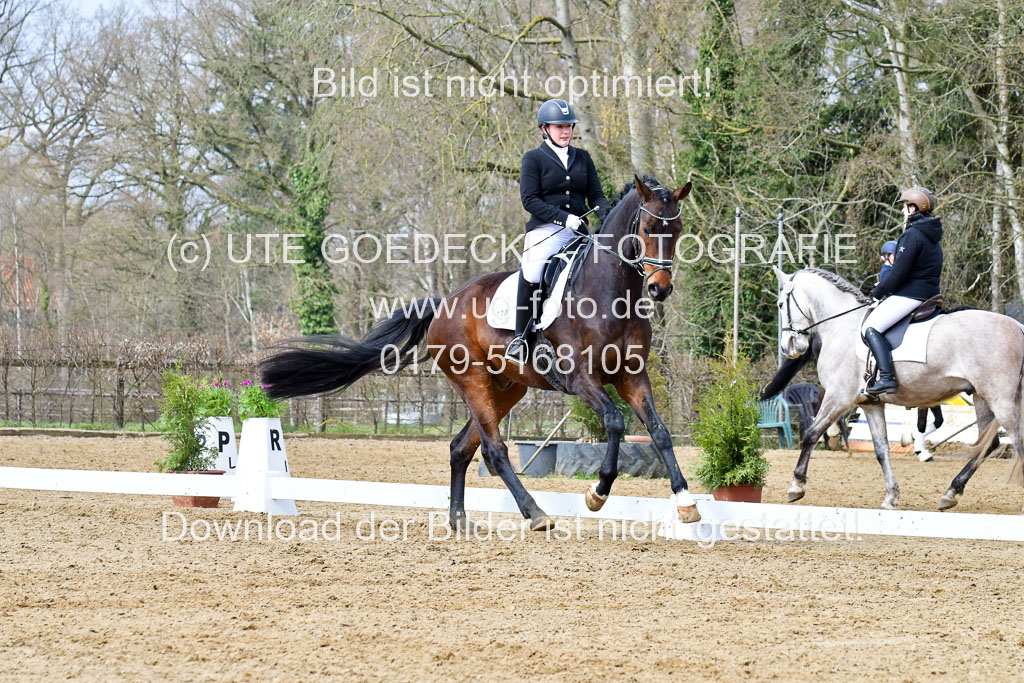 Reitsportzentrum Bremervörde | 170421 Dressurreiter L_311