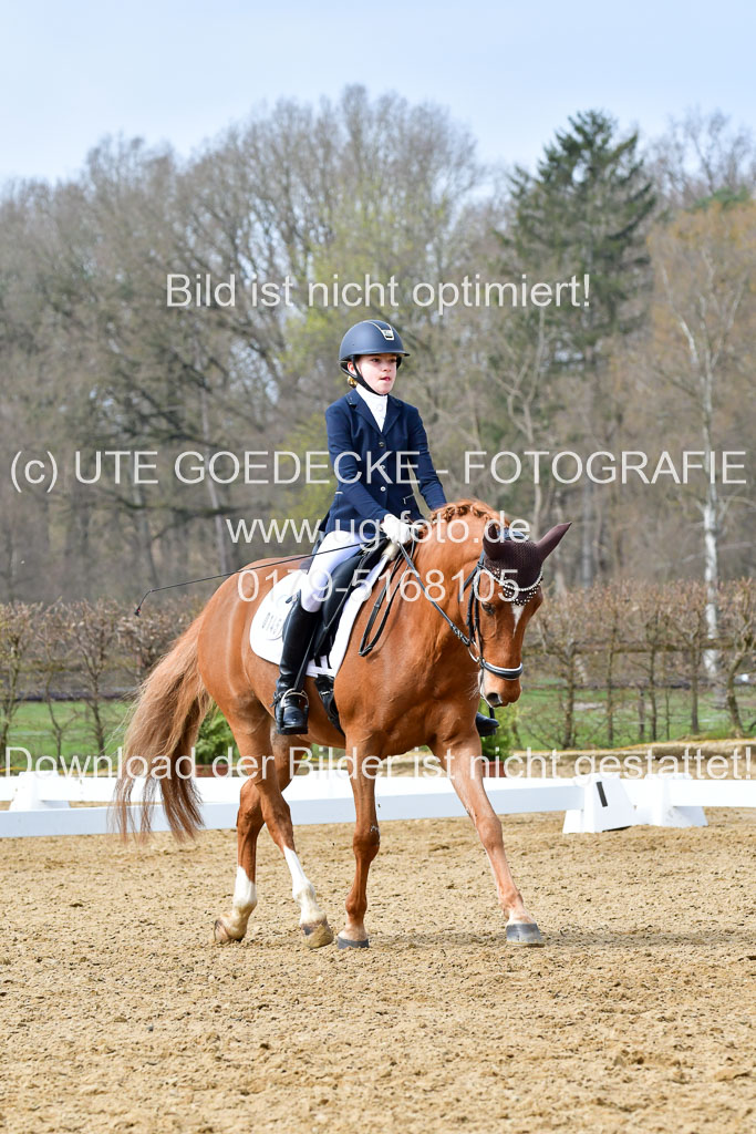 Reitsportzentrum Bremervörde | 170421 Dressurreiter L_316