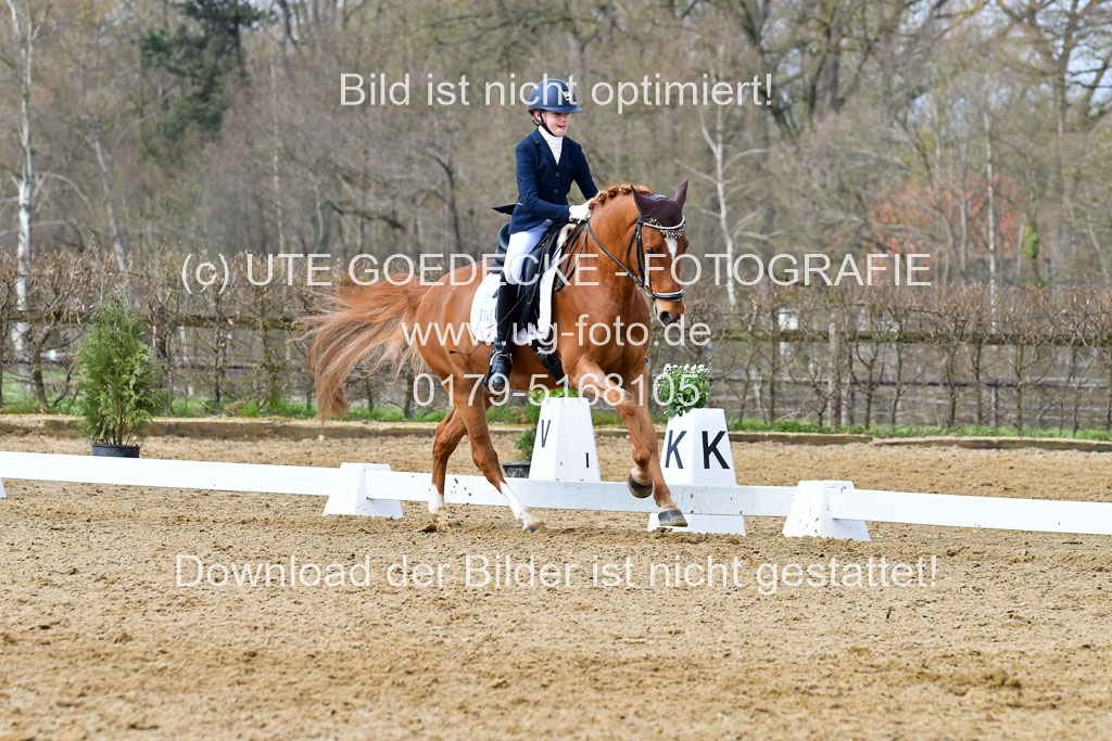 Reitsportzentrum Bremervörde | 170421 Dressurreiter L_321